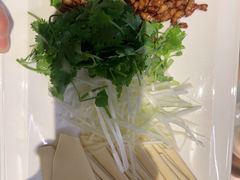 -大鸭梨烤鸭(望京店)
