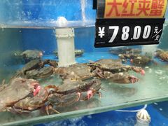 -雅逸居海鲜小厨