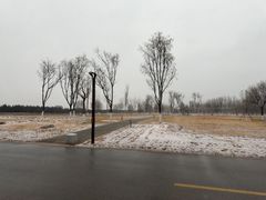 -汉长安城未央宫国家考古遗址公园