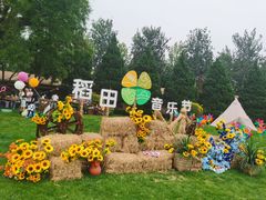 -春晖园度假酒店温泉