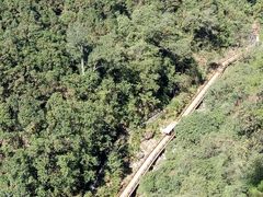 -九龙江国家森林公园