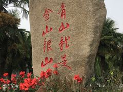 景点-月湖风景区