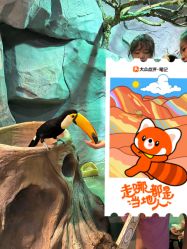 -Zoolung Zoolung动物主题公园(海信广场店)