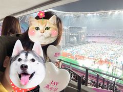 -杭州奥体中心-体育场