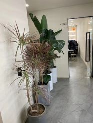 -DX HAIR SALON·发现未知美发沙龙