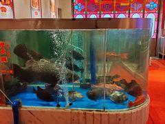 -惠食佳(滨江大公馆店)
