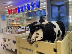 -红星前进面包牛奶公司(君太店)