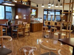 -喵园·猫主题咖啡厅·撸猫·猫咖(国贸店)
