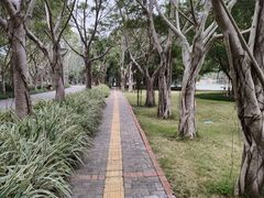 -南宁花花大世界景区