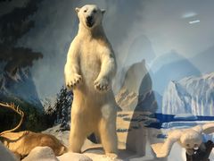 -陕西自然博物馆