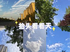 -洛阳市隋唐城遗址植物园
