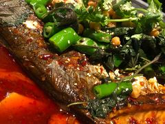 -龙门烤鱼(东方宝泰店)