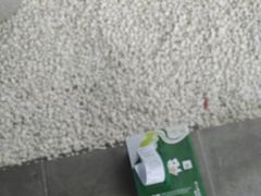 -奥体中心游泳馆