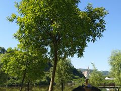 -咸宁太乙国际温泉度假村