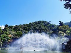 -西双版纳原始森林公园