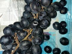 -百果园PAGODA(应元路店)