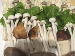 -清真军邺·金富苑肥牛城(海湖新区精品店)
