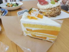 -夏佐CHASEL(横店康庄路店)