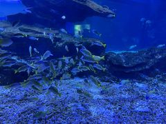 -海合安武汉极地海洋公园