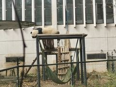 -成都动物园