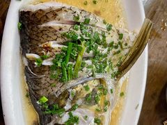 清蒸白鱼-协和菜馆(凤凰街店)