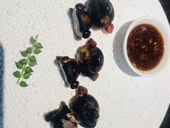 -甄御•海鲜新青岛菜(麦岛店)