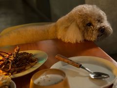 -漾应的火塘(蟠龙新天地店)