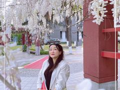 -四川大学(望江校区)