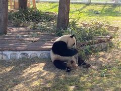 -西安秦岭野生动物园