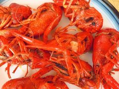 -金狮国际酒店自助餐(金狮店)