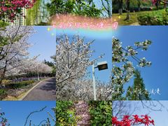 -白塘生态植物园