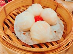 金牌鲜虾饺皇（非遗作品）（美）-点都德(聚福楼店)