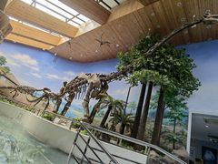 -延庆地质公园博物馆