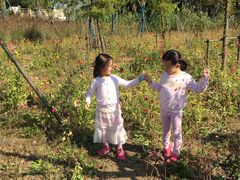 景点-上海长兴岛郊野公园