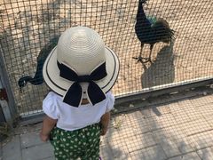 -晶宝温泉农庄