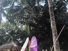 -三亚亚龙湾雅高美爵酒店