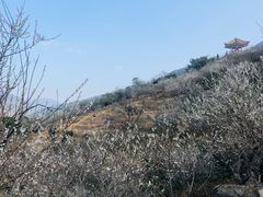 -广州市流溪河国家森林公园