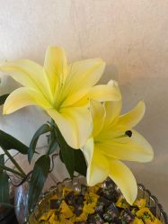 -唯伊美塑身美养连锁