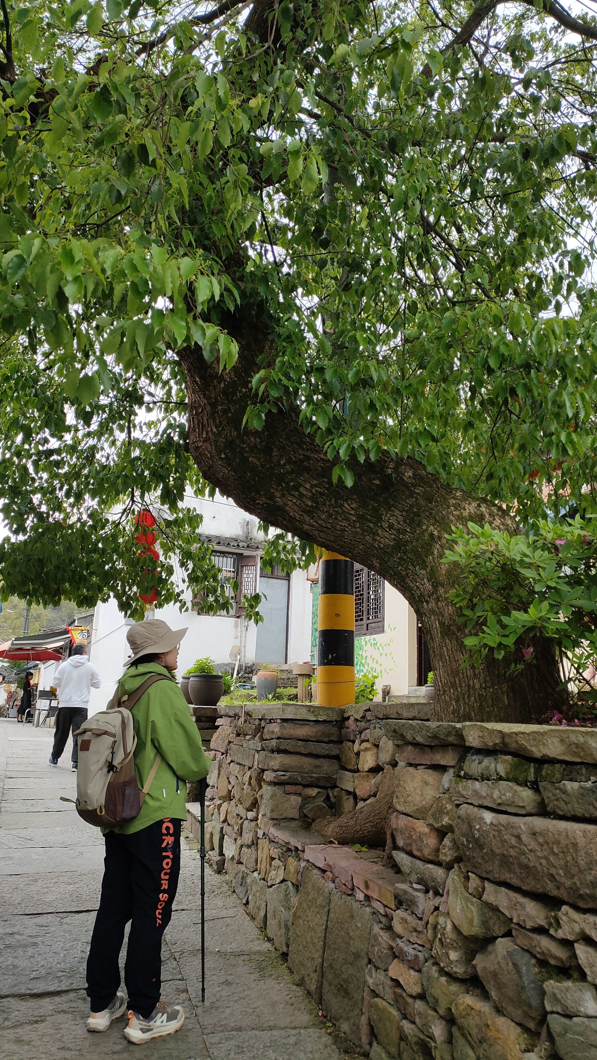 方家河头徒步游