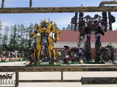 -上海长兴岛郊野公园