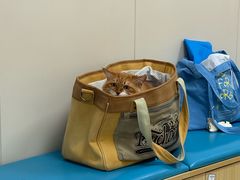 -美联众合爱康动物医院•复杂内科•肿瘤科•牙科•腔镜诊疗中心