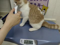 -芭比堂动物医院广州顽皮分院