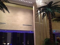 -常州环球恐龙城维景国际大酒店