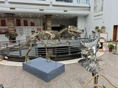 -自贡恐龙博物馆