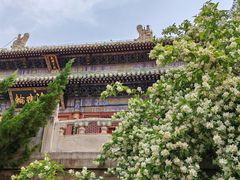 -潭柘寺景区