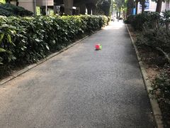 -武汉洲际酒店
