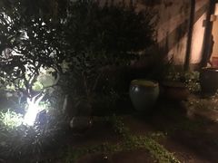 -院子餐厅·大锅菜·老杭帮(桥西直街店)