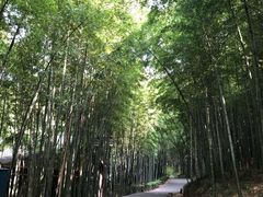 -苏州环秀晓筑养生度假村