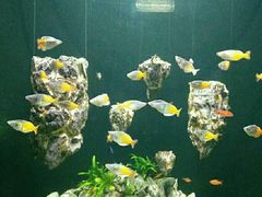 -成都浩海立方海洋公园