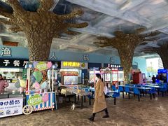 -芜湖新华联大白鲸海洋公园